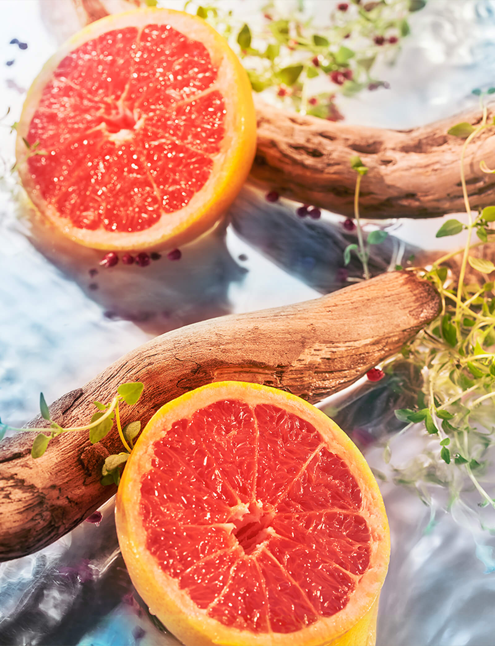 إليزيوم بور أوم