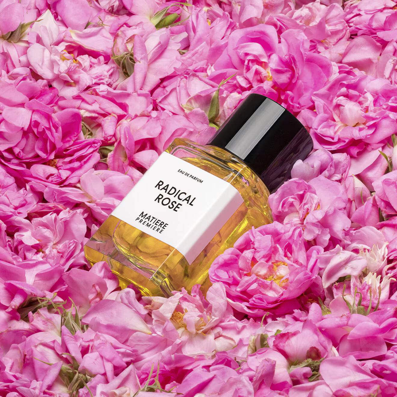 راديكال روز