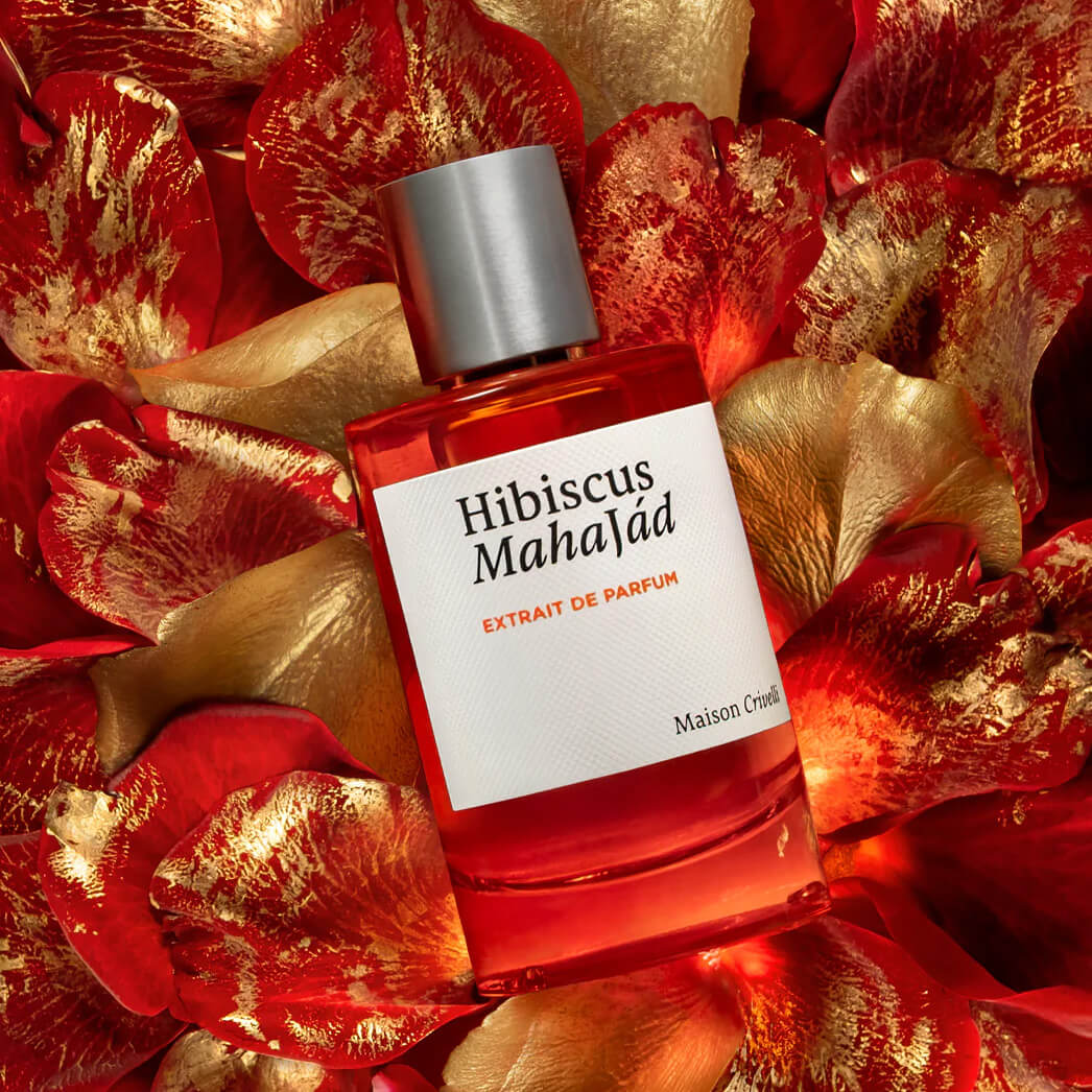 Hibiscus Mahajád