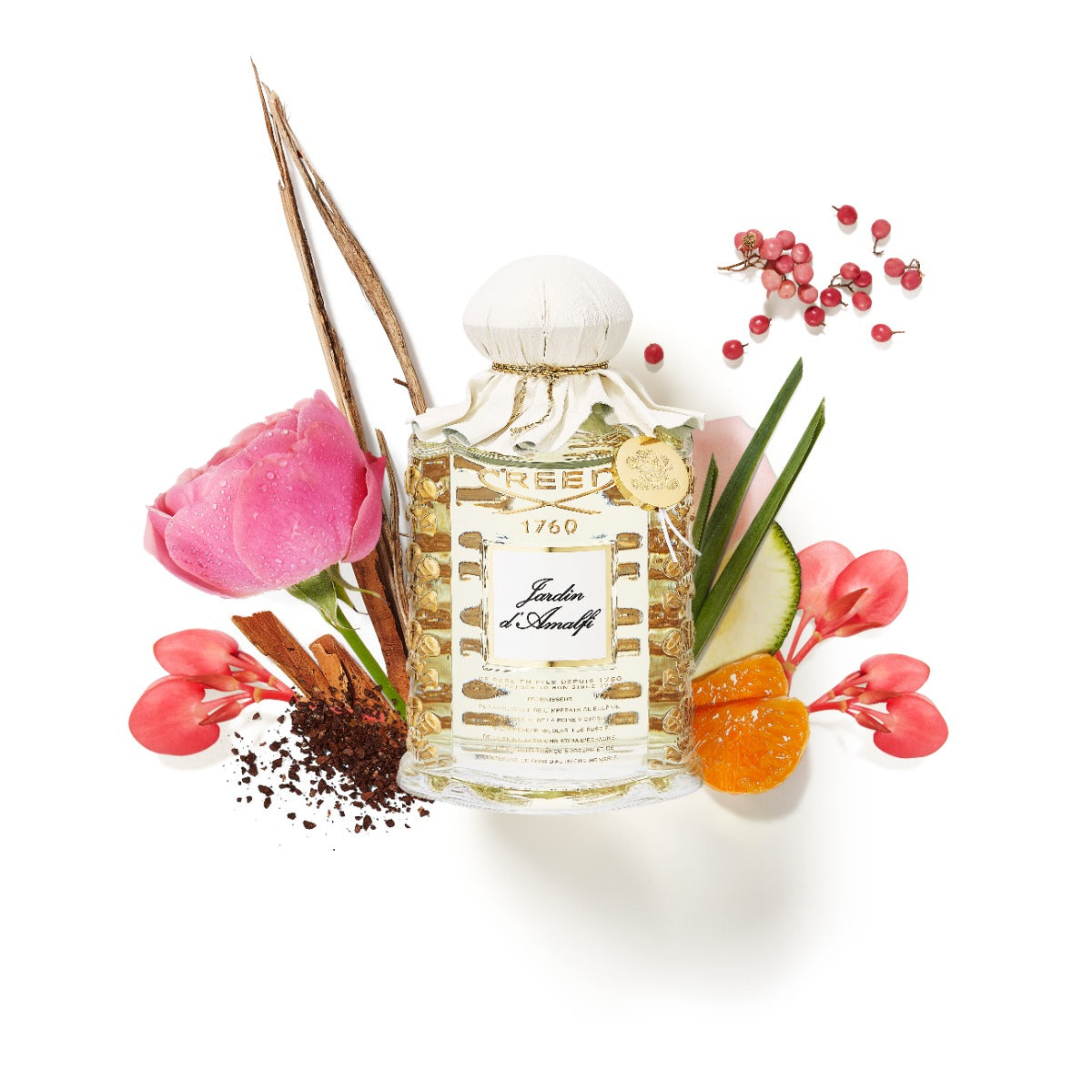 جاردان دامالفي