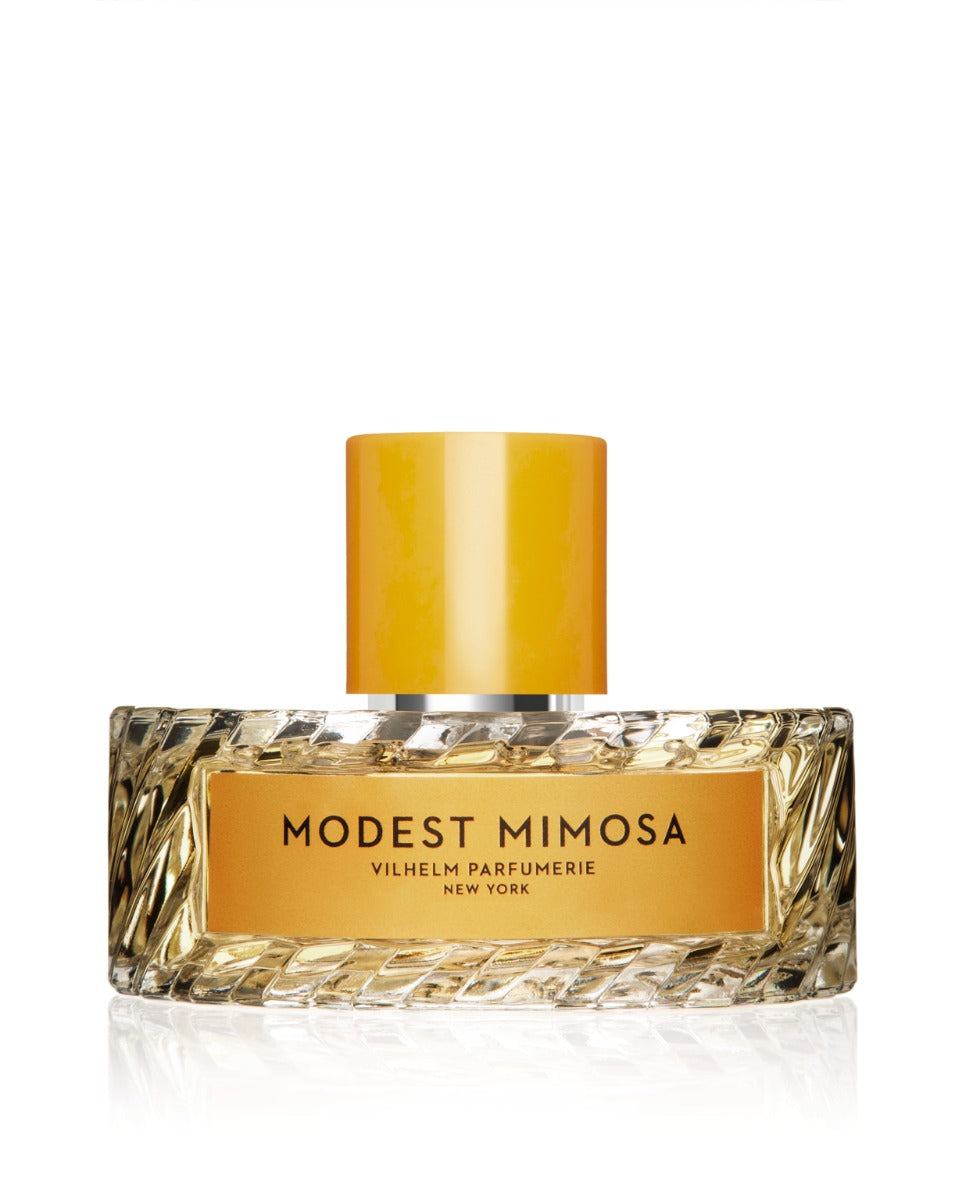 موديست ميموزا