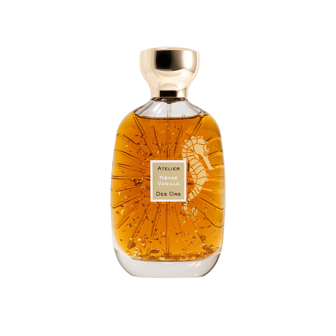 نوفاي فانيلا