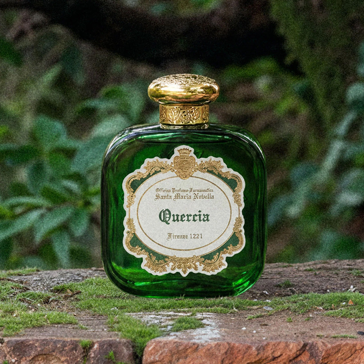 Quercia