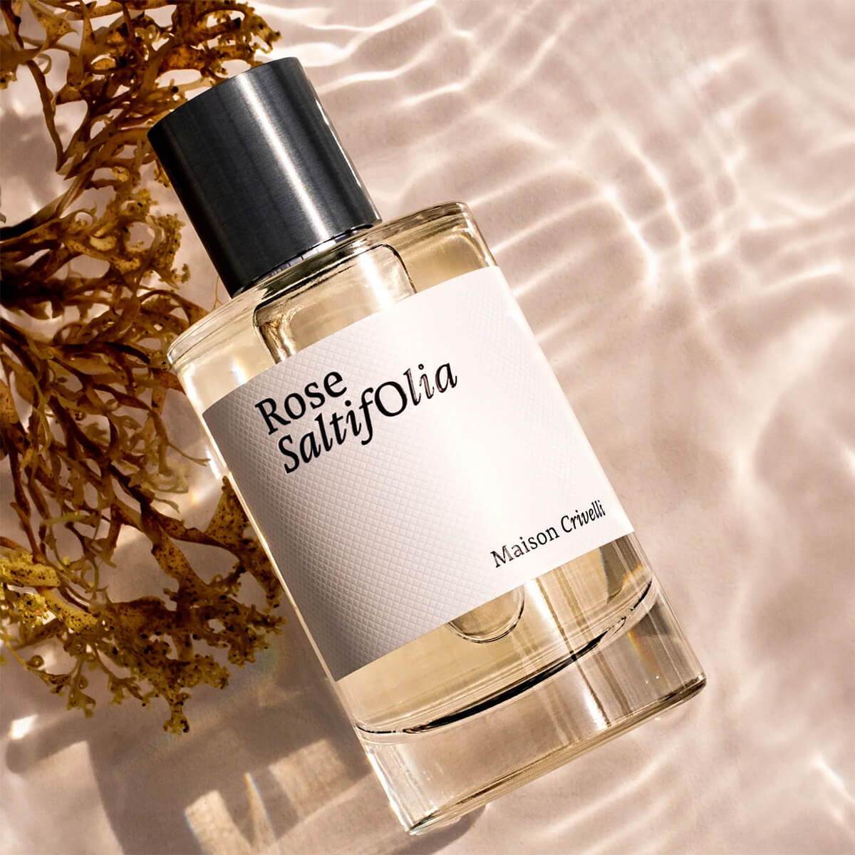 روز سالتيفوليا