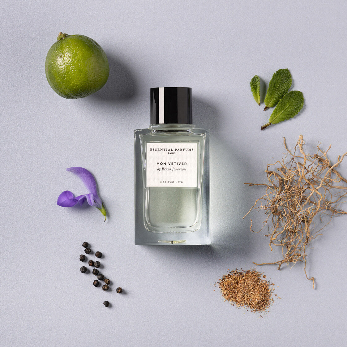 مون فيتيفر من ابتكار برونو يوفانوفيتش