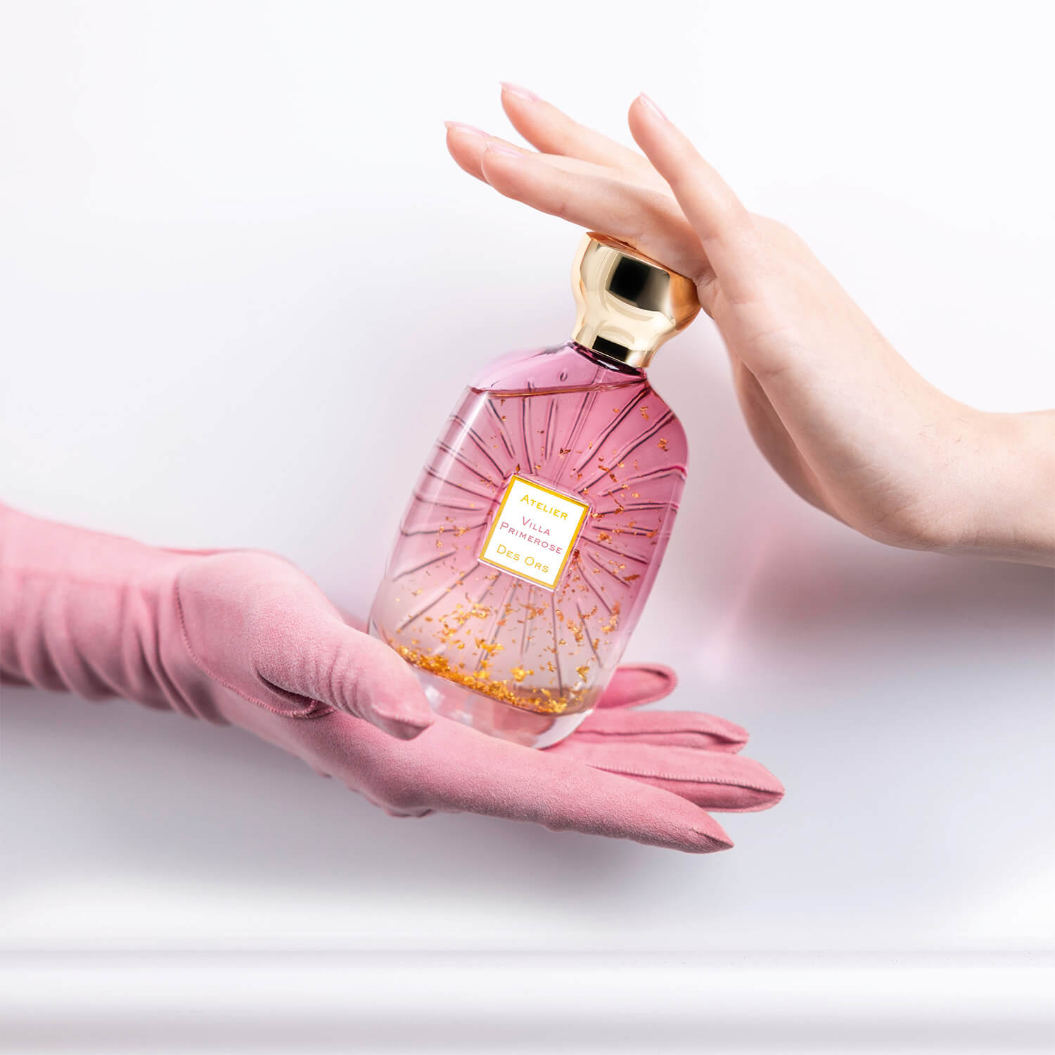 فيلا بريمروز