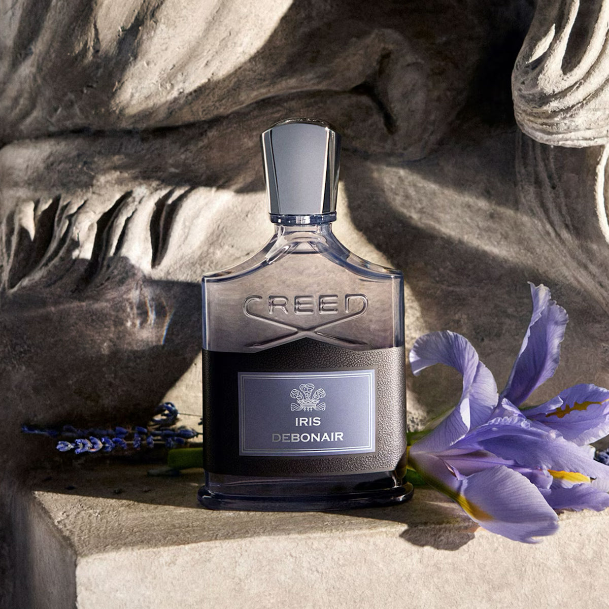 Iris Debonair