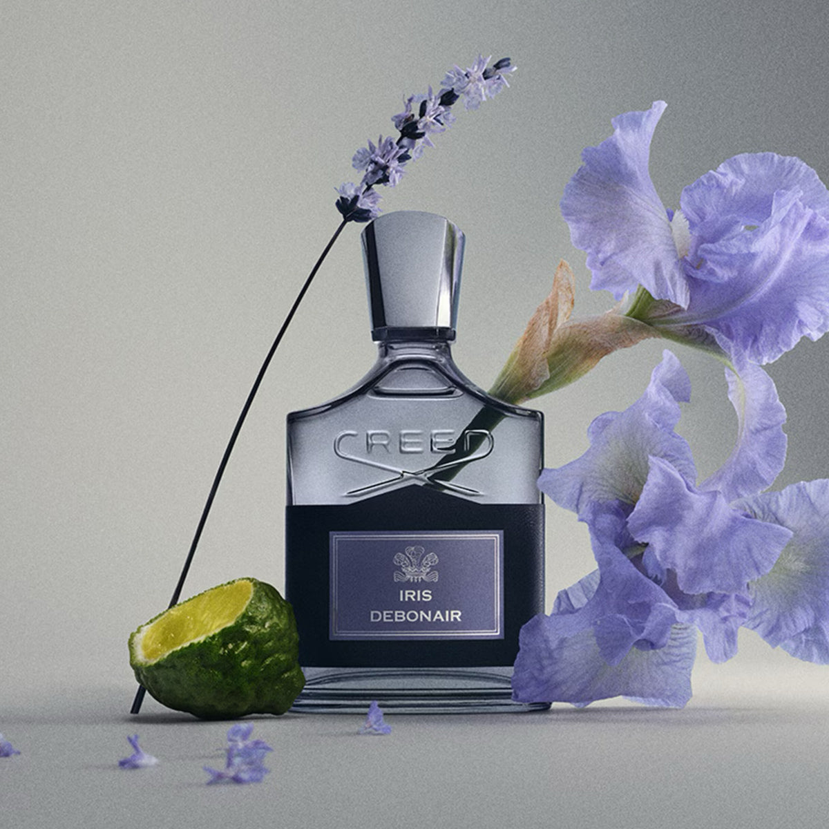 Iris Debonair