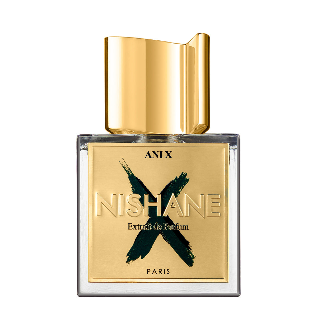 Ani X