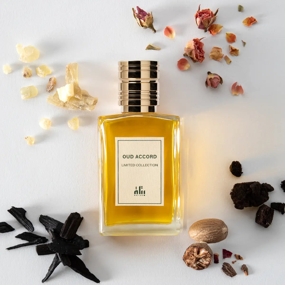 اكورد العود