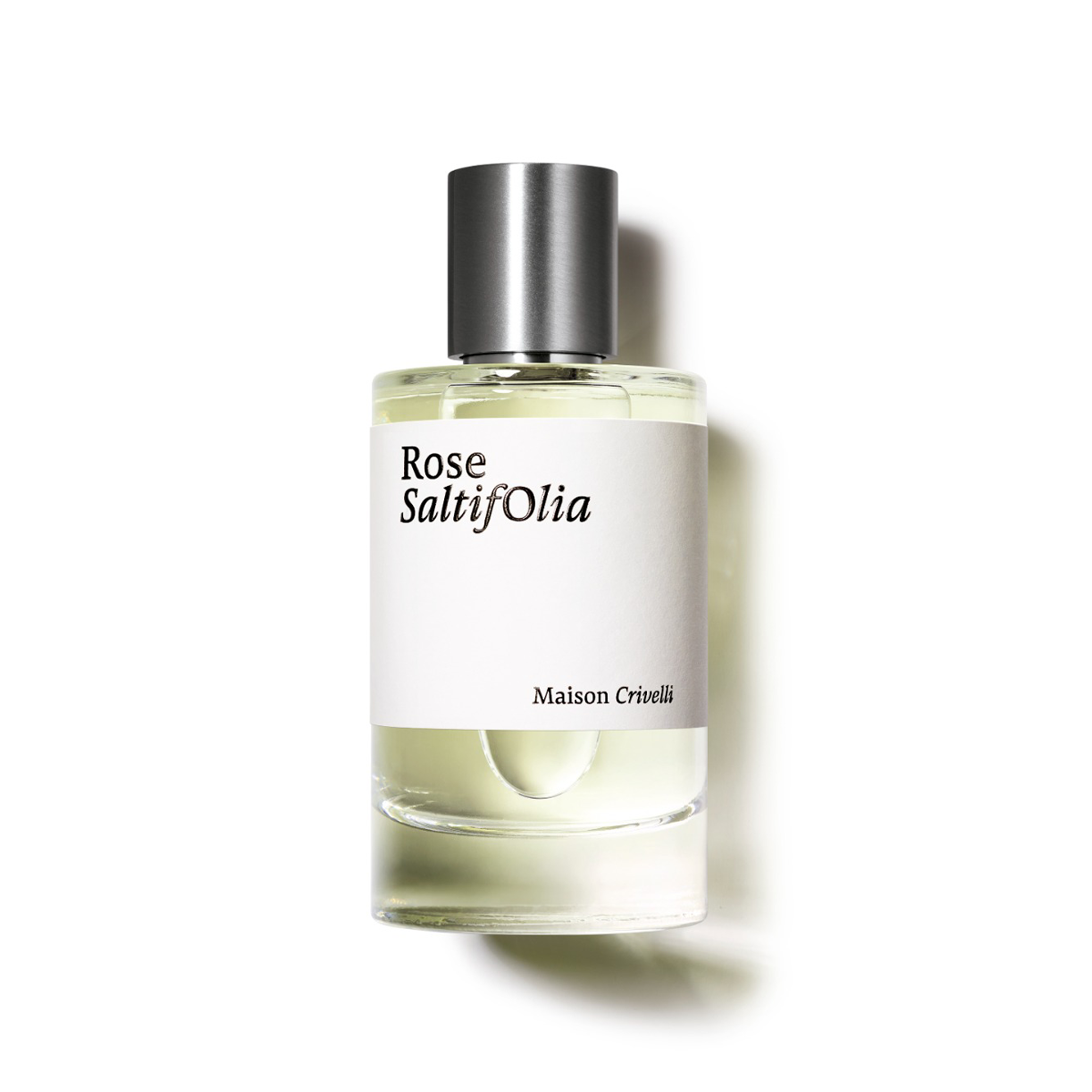 روز سالتيفوليا