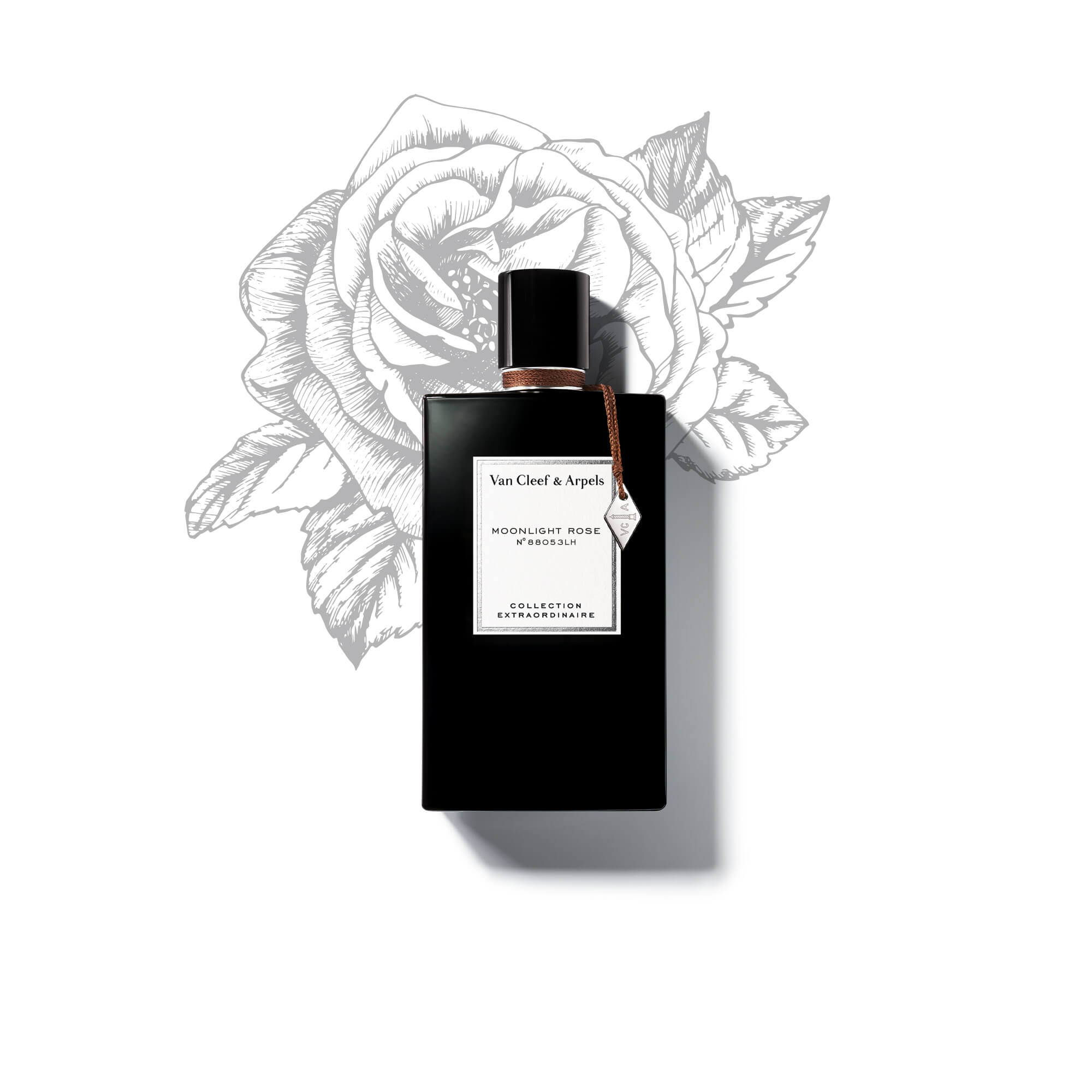 Moonlight Rose