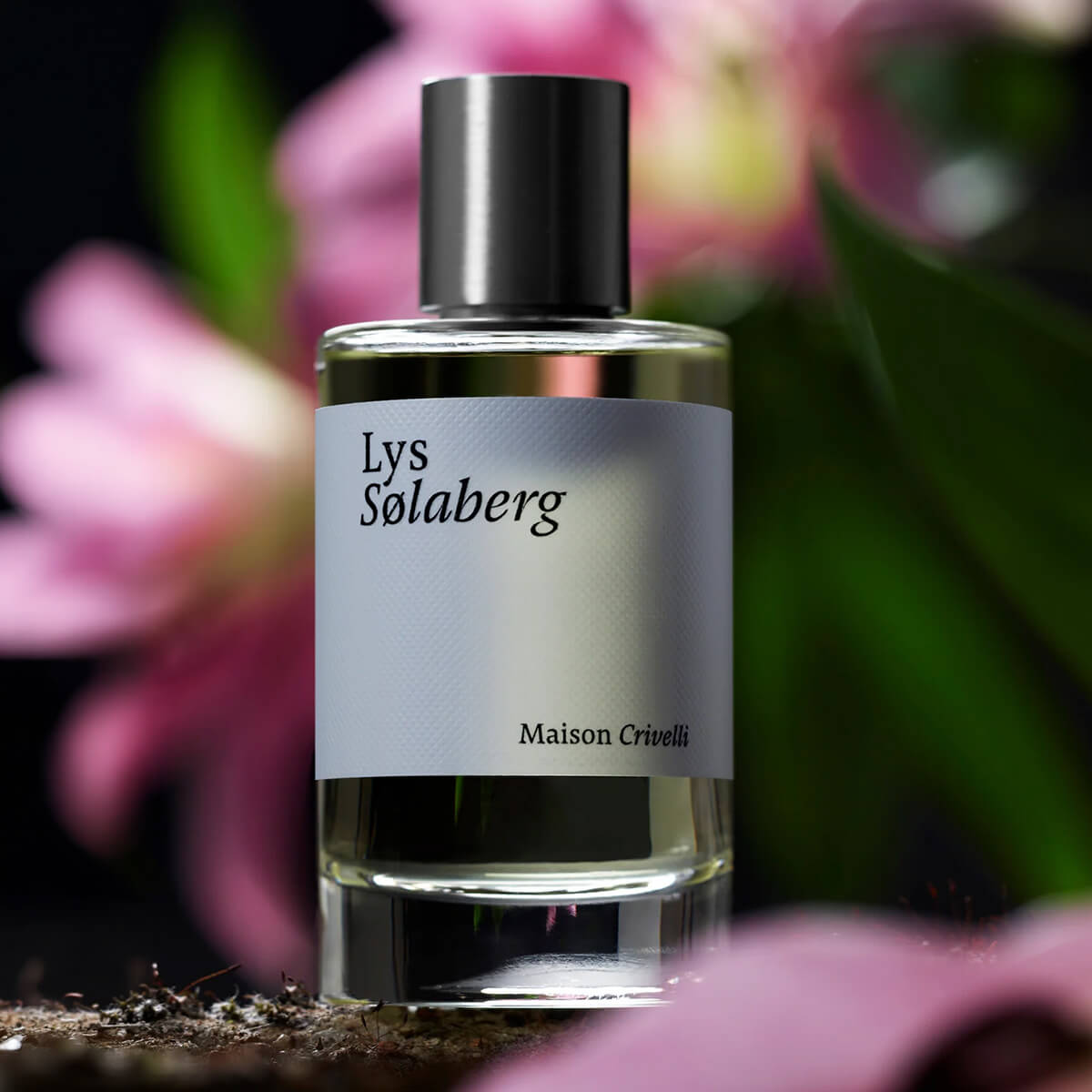 لي سولابيرغ