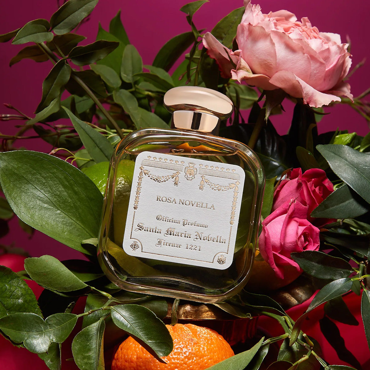 Rosa Novella