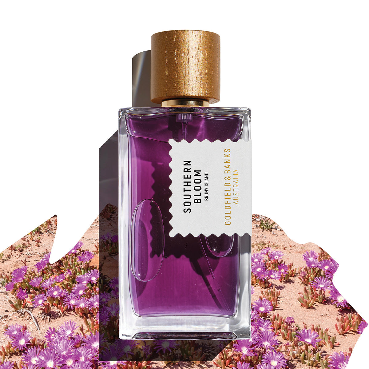 Southern Bloom